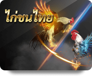 download 2 Maxplus