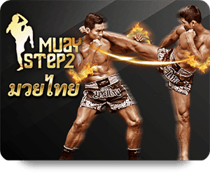 download 3 Maxplus