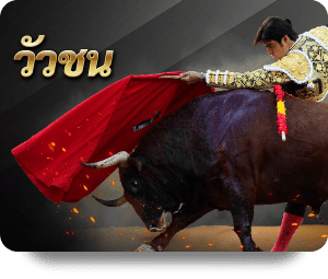 img bullfight square th Maxplus